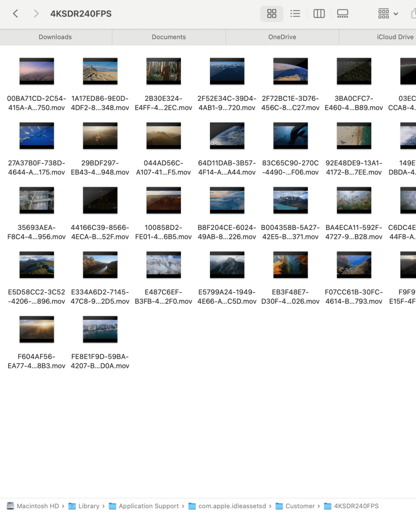 macOS screen saver folder location