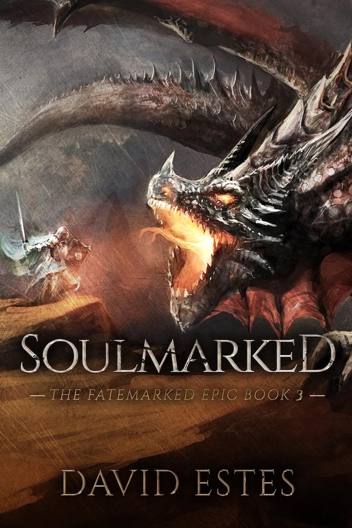 Soulmarked Book Cover