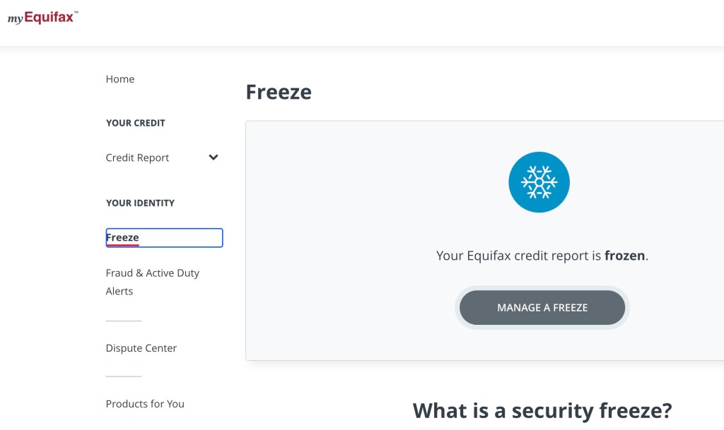 Equifax credit freeze