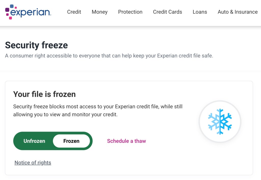 Experian credit freeze