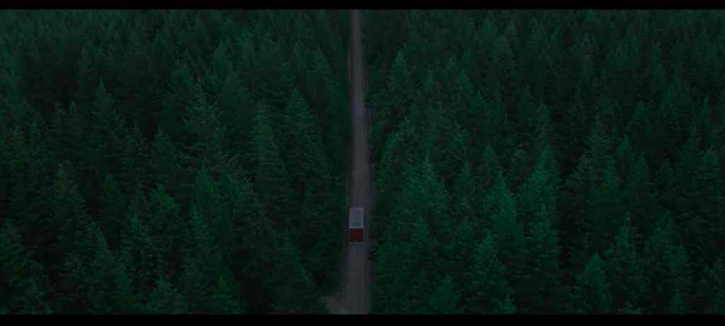 Another top down forest scene!